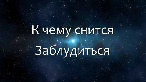 К чему снится белая собака: толкование сна про