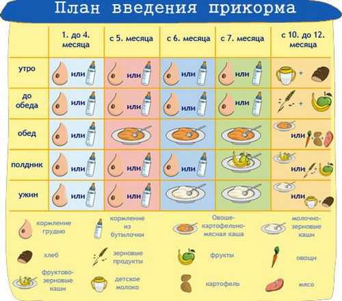 При отсутствии неадекватной реакции со стороны пищеварительного тракта, ввод нового продукта желательно производить раз в неделю, а лучше раз в две недели