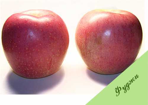 Особенности яблок сорта Фуджи: фото,