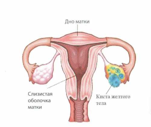 Для этой цели врач назначает