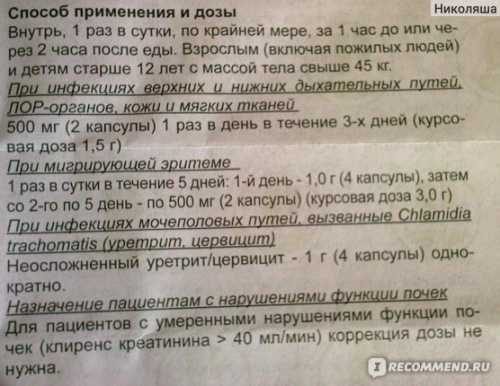 Мужские половые органы