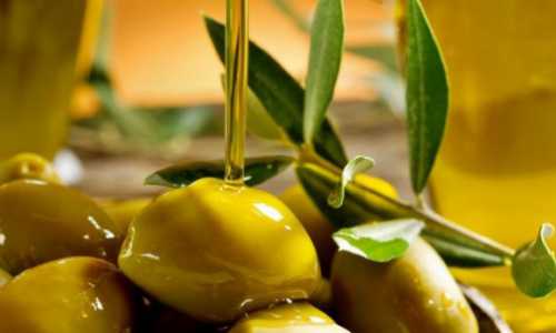 Польза маслин консервированных, возможный вред,